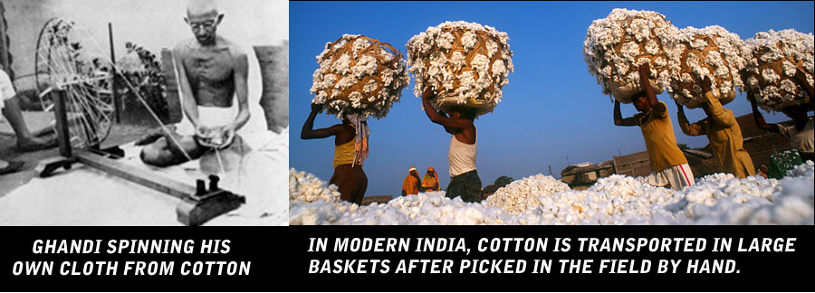 India-Cotton