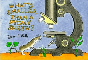 pygmy-shrew