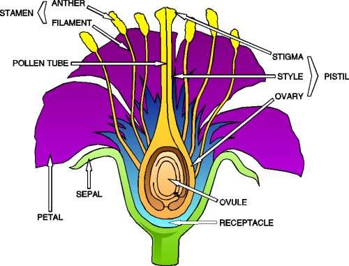 flwrparts