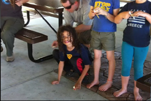 Click here to see more!