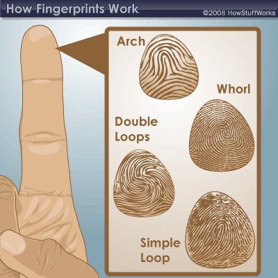 fingerprint-2