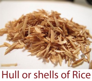 hull-of-rice