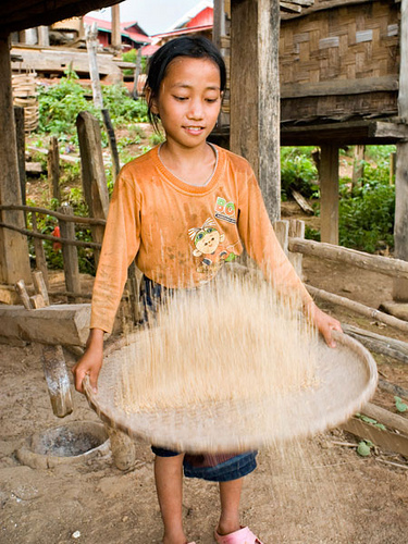 Ensuring there are no hulls left on the rice, rice flipping/sifting is a part of preparing food daily in Thailand
