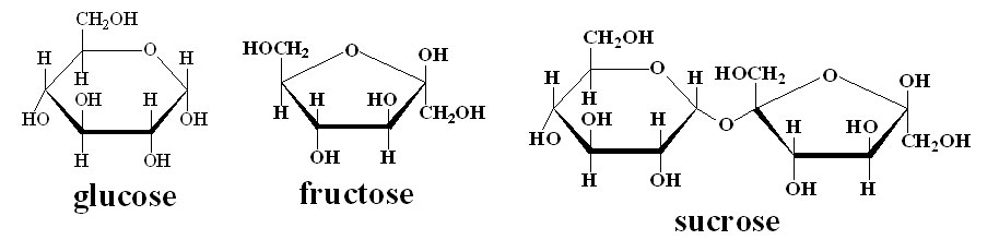 sucrose