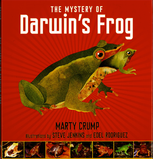 darwin's frog